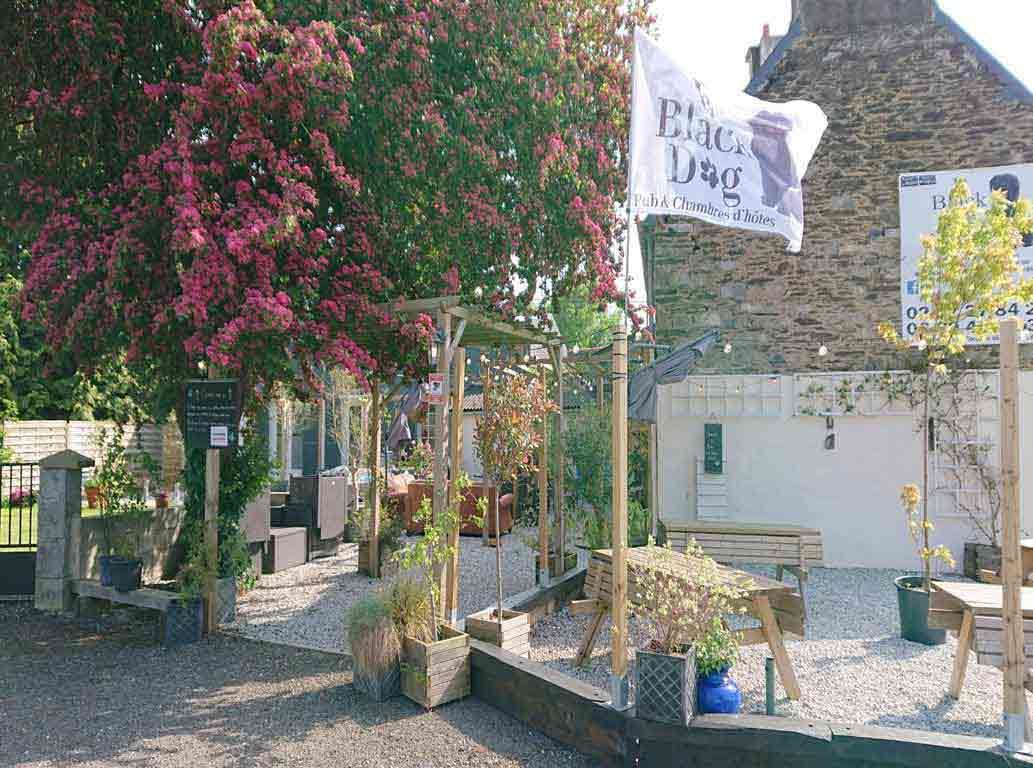 Le Black Dog Pub Saint_Aignan - Restaurant Bar close to me